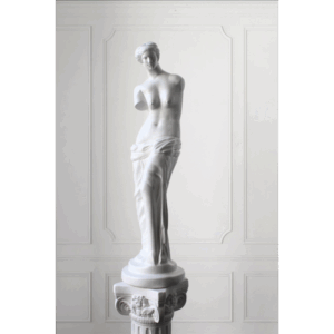 VENUS GRANDE